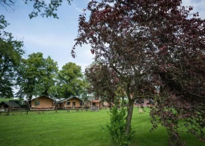 Buiten Aan De Baak *